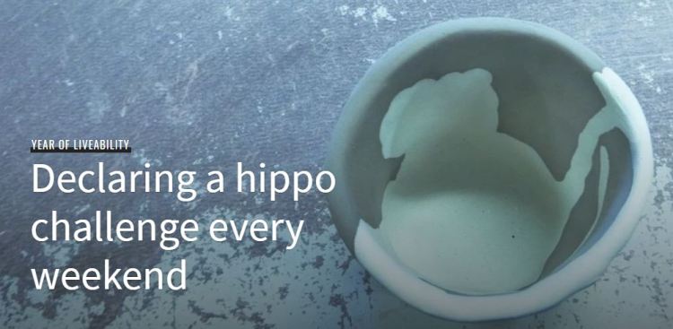 Hippo Challenge